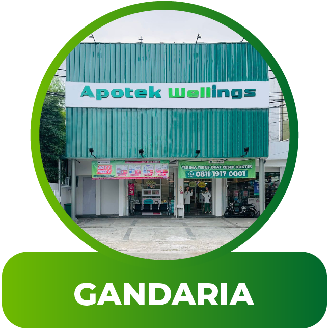 store-gandaria